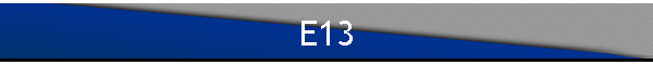 E13