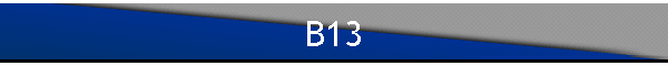 B13