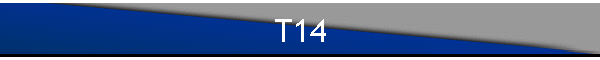 T14